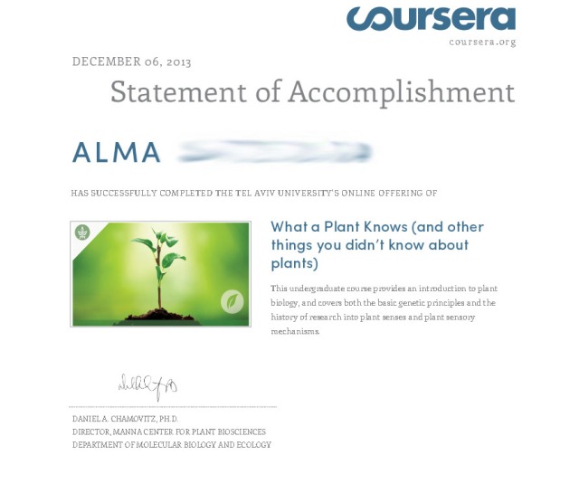 statement accomplishment plant